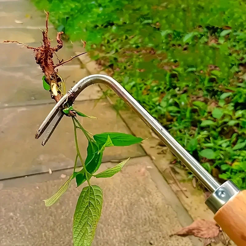 Edelstahl-Unkrautabzieher – Manueller Gartenrechen mit Scharfen Zinken für Gras- und Unkrautentfernung (1 Stück)